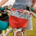 see more listings in the Bike Basket for Big Kids section