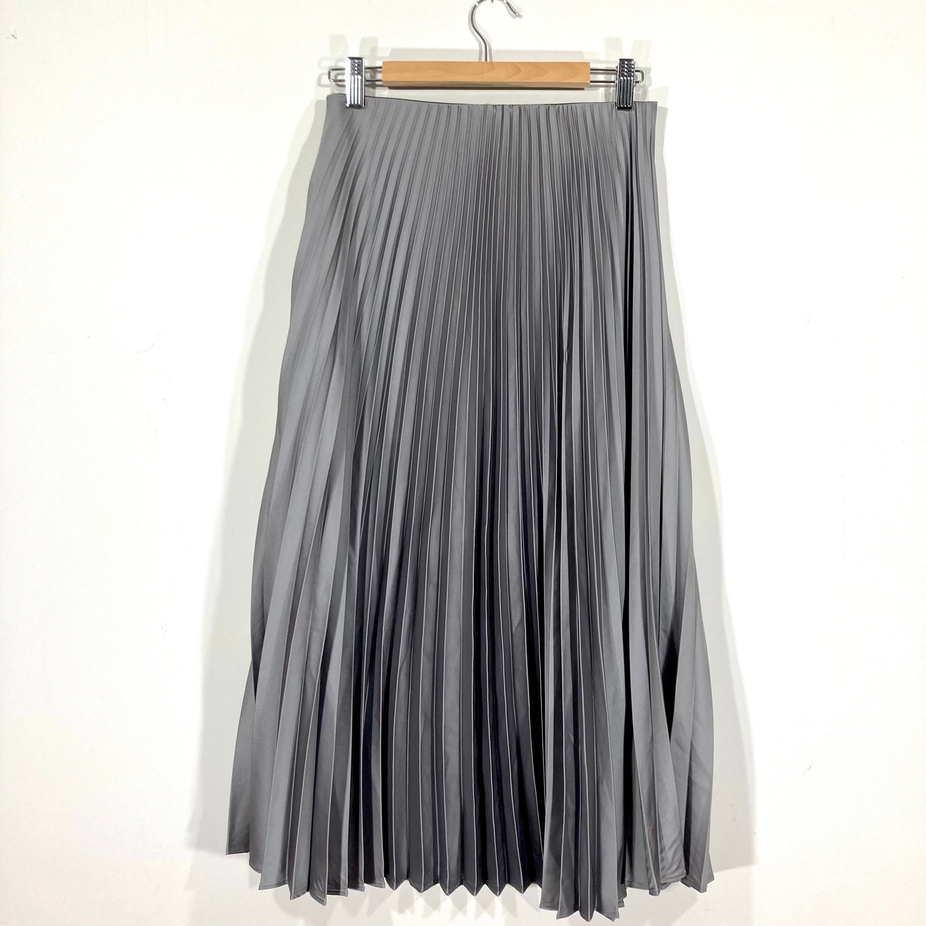Zara Metallic Pleated Skirt Ubicaciondepersonascdmxgobmx