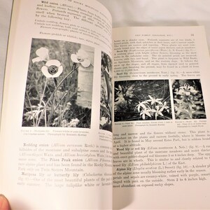 Plants of Rocky Mountain National Park by Ruth E Ashton SB 1933 Govenment Printing 156 Pgs B&W Photos Vintage Flower Book image 9