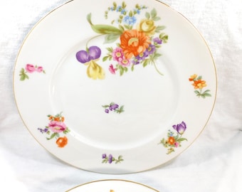 Vintage KPM German Porcelain Plates: Floral Decor, Gold Trim (Set of 2)