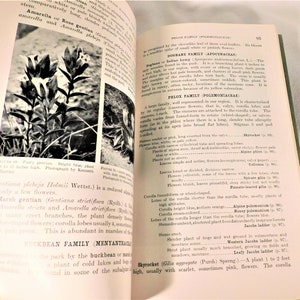 Plants of Rocky Mountain National Park by Ruth E Ashton SB 1933 Govenment Printing 156 Pgs B&W Photos Vintage Flower Book image 6