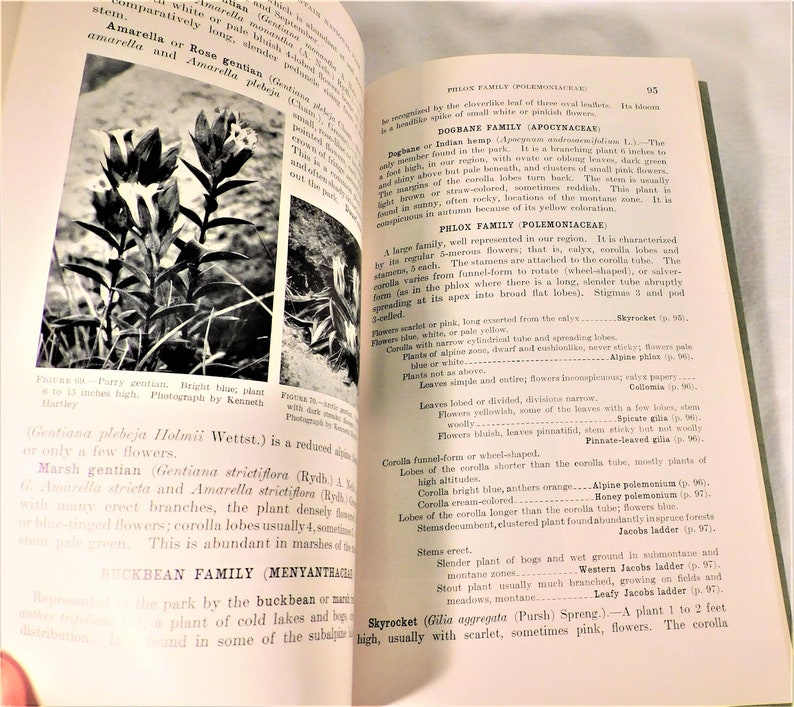 Plants of Rocky Mountain National Park by Ruth E Ashton SB 1933 Govenment Printing 156 Pgs B&W Photos Vintage Flower Book image 6