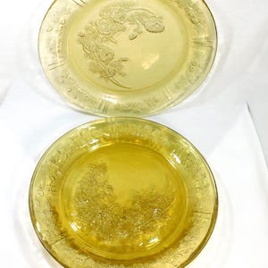 May include: Two vintage amber-colored glass plates. Each plate features a floral design in the center and along the rim. The plates are round and have a slightly raised edge. The plates are likely for decorative or serving purposes.