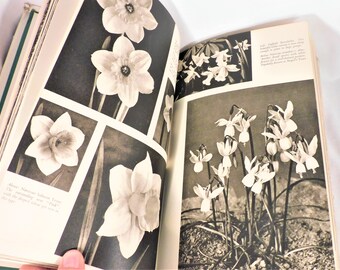 Vintage 1951 Gardens & Gardening Reference Book: Mercer/Hay, Studio Publications