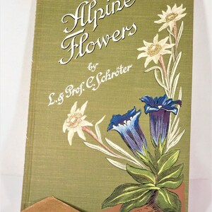 Fleurs des Alpes par L Schroter & Prof Dr. C Schroter HB DJ 207 assiettes colorées 18e-19e éd. Texte allemand anglais français Éditeur Zurich des années 1900