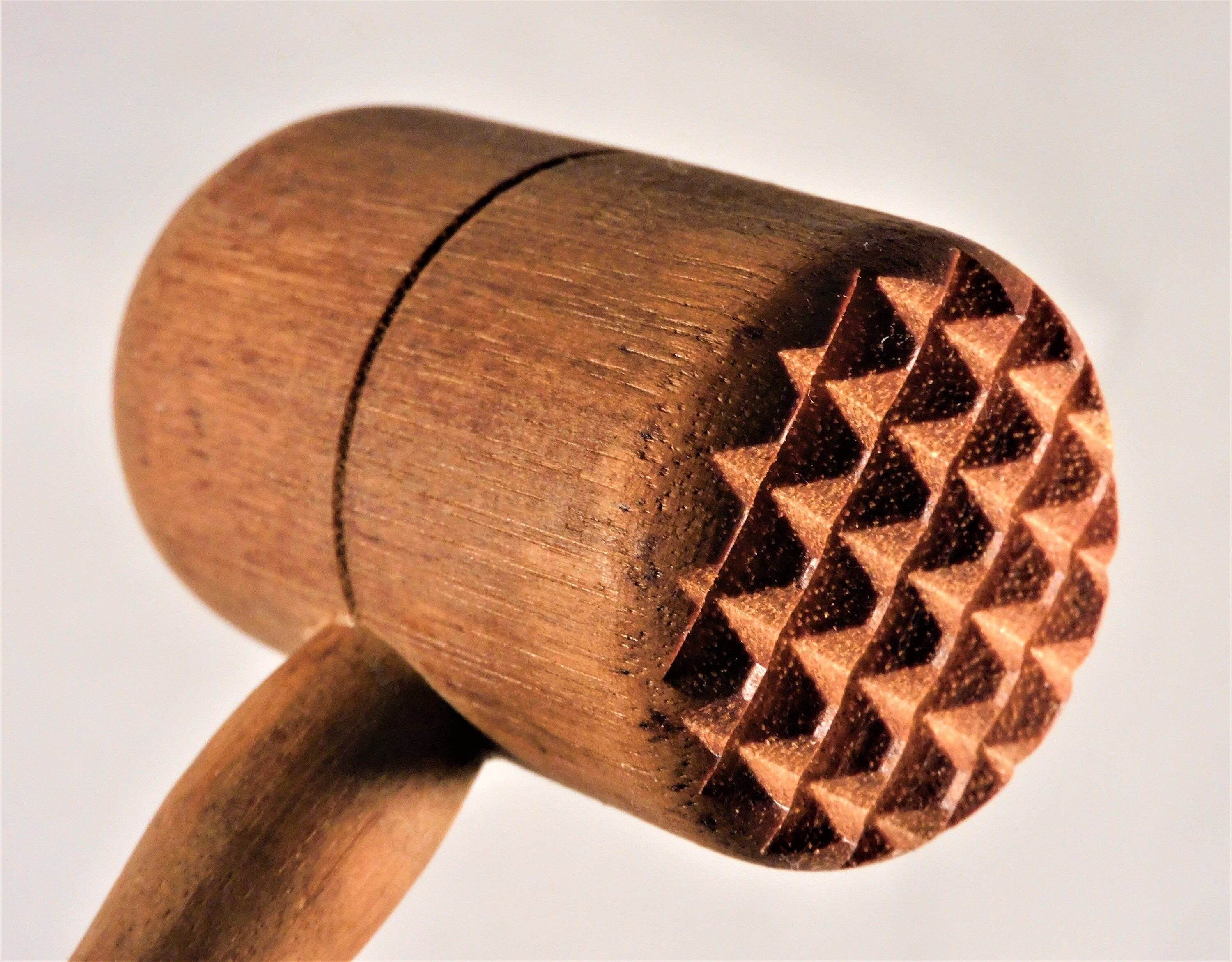 Will Meat Tenderizer Hurt Dogs