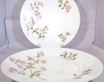 Antique 1882 Limoges Pair Porcelain Dinner Plates: Pink Flower Schleiger 1311A