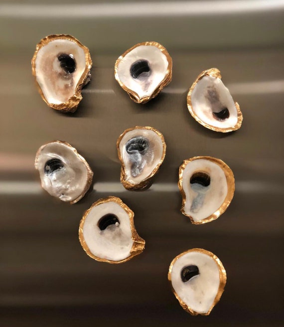 OYSTER SHELL - BLUE/WHITE MAGNETS (SET FOUR) main image 0