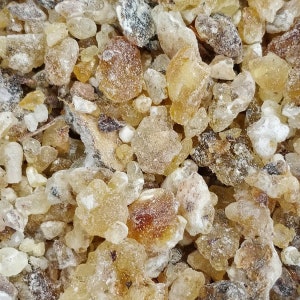 May include: Close-up of a pile of small, translucent, amber-colored resin pieces. The resin is irregularly shaped and has a slightly rough texture.