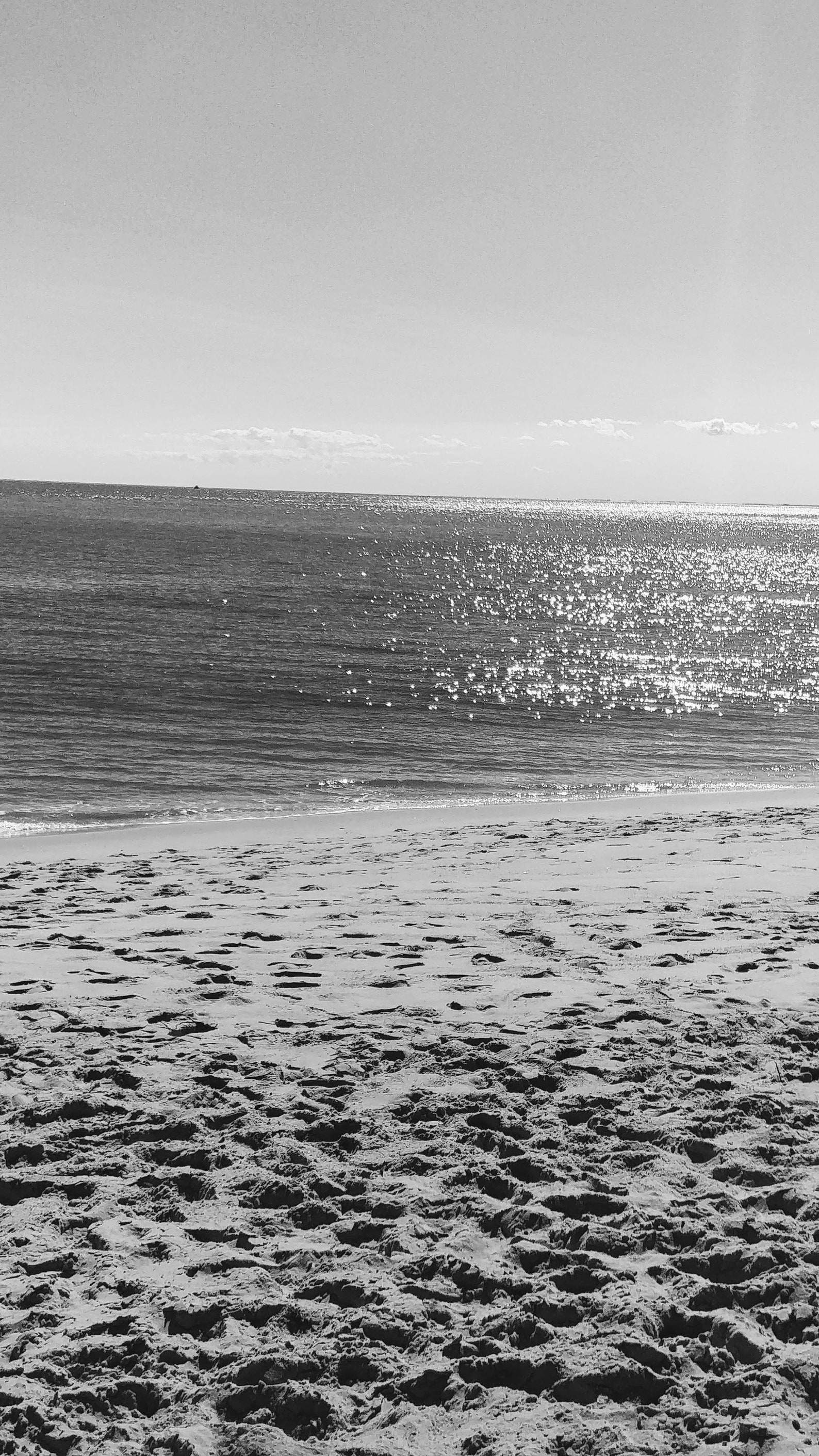 Black and White Beach Photography Etsy