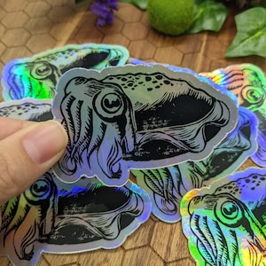 Holographic 3inch vinyl Cuttlefish sticker