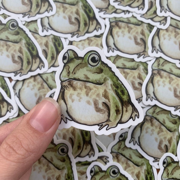 Frog sticker, 2 inch sticker, vinyl sticker, waterproof sticker, water bottle sticker, little guy, chaco horned frog, cute frog sticker