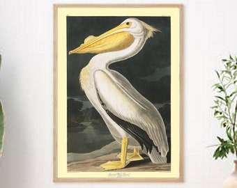 オーデュボンのペリカン鳥、ヴィンテージの鳥のプリント、海岸沿いの装飾アート、オーデュボンの鳥、キッチンの壁アート、ペリカン鳥のプリント、ビーチハウスのアートプリント