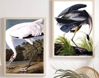 May include: Two framed prints of bird illustrations. The print on the left shows a white crane with black legs and a long, thin beak. The print on the right shows a blue heron with a yellow beak and long, thin legs. Both prints have a white background and are framed in a light wood frame.