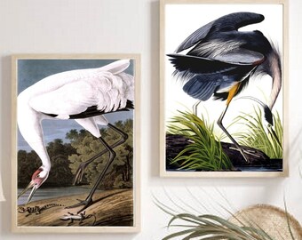 Great Blue Heron, Whooping crane, Vintage Bird Wall Art Set, Sea Bird Prints, Hooping crane, Audubon prints, Coastal Wall Art, Cottage Art