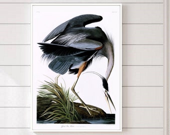 Great Blue Heron, Heron Bird, Audubon prints , Audubon posters, Audubon birds, Heron Art Printable, Vintage Bird Print, Altered Art