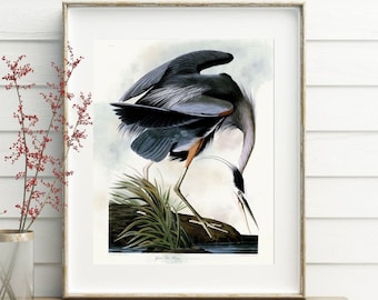 May include: A framed print of a watercolor painting of a Great Blue Heron standing in a marsh. The bird is blue-gray with a long, thin neck and a long, pointed beak. The background is a soft blue-green.