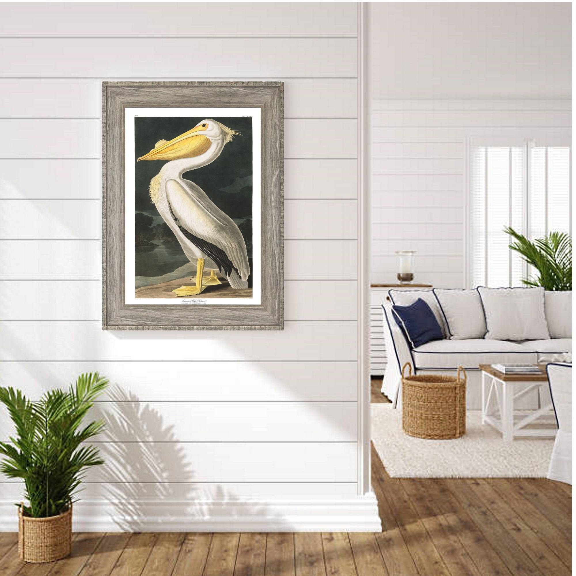 Audubon Pelican Bird Vintage Bird Print Coastal Decor Art - Etsy UK
