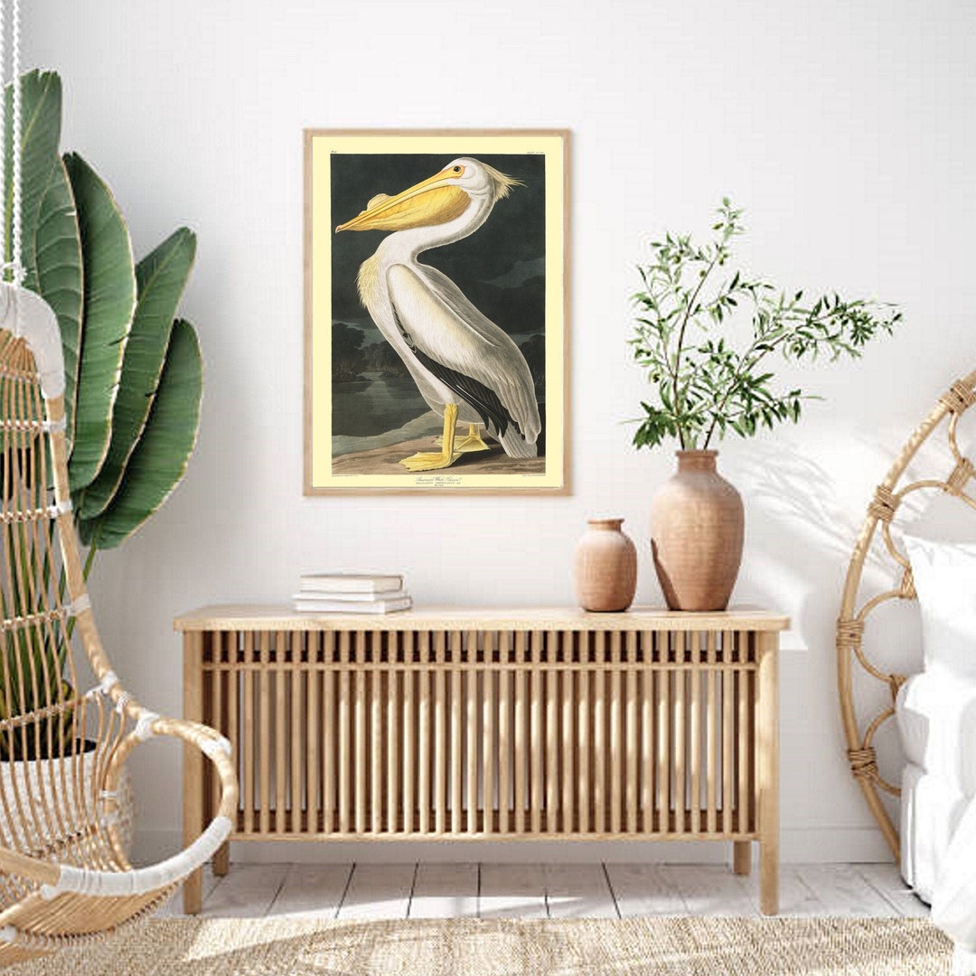 Audubon Pelican Bird, Vintage Bird Print, Coastal Decor Art, Audubon ...
