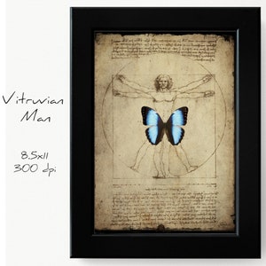 Vitruvian Man Print, Leonardo Da Vinci 1490, Vintage Butterfly Vitruvian Man, Digital Wall art, Poster Print, Altered Designer Wall Art