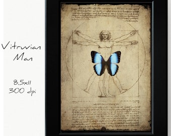 Vitruvian Man Print, Leonardo Da Vinci 1490, Vintage Butterfly Vitruvian Man, Digital Wall art, Poster Print, Altered Designer Wall Art