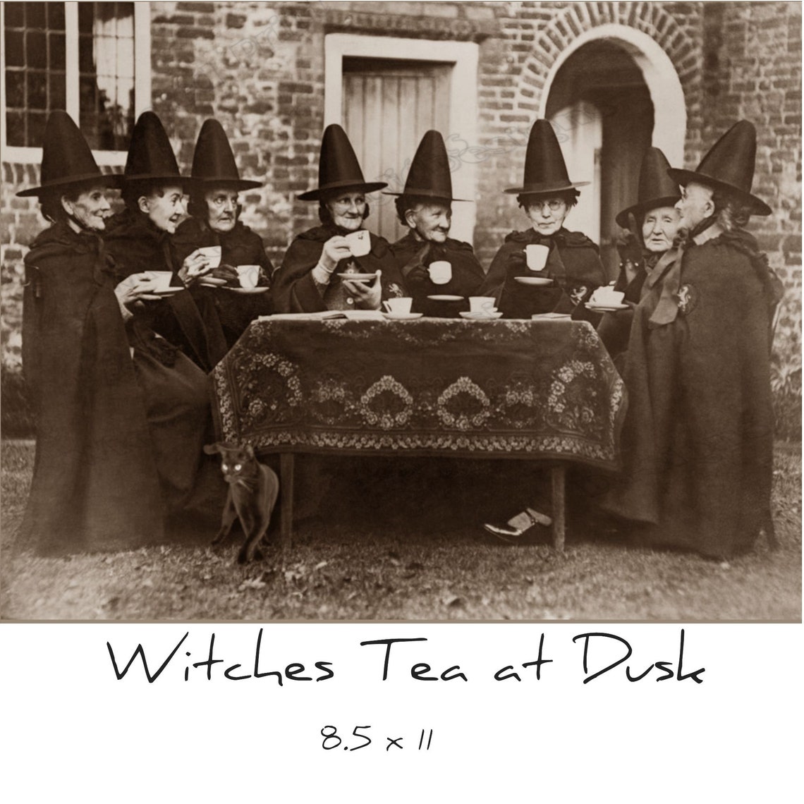 Witches Tea Party at Dusk VINTAGE Photo Antique Witches Etsy
