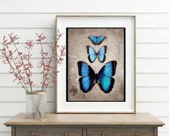 Blue Morpho Butterfly illustration print, Blue Morpho butterflies Vintage Wall Art, Blue Butterfly, Junk Journal, Morpheus Butterfly Art