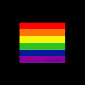 May include: A rainbow pride flag with six horizontal stripes in the colors red, orange, yellow, green, blue, and purple. The flag has the text "www.CarryaBigSticker.com" at the bottom.