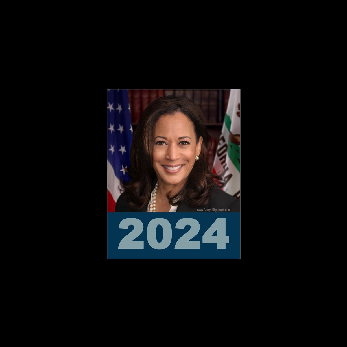 PAPER POSTER Kamala Harris 2024 Photo Pick Your Size Etsy