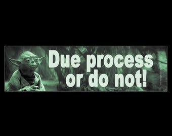 Due Process or Do Not BUMPER STICKER or MAGNET 3" x 11.5"