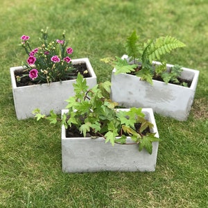 May include: Three concrete planters with different plants. The planter on the left has pink flowers, the middle planter has green leaves, and the planter on the right has green ferns.