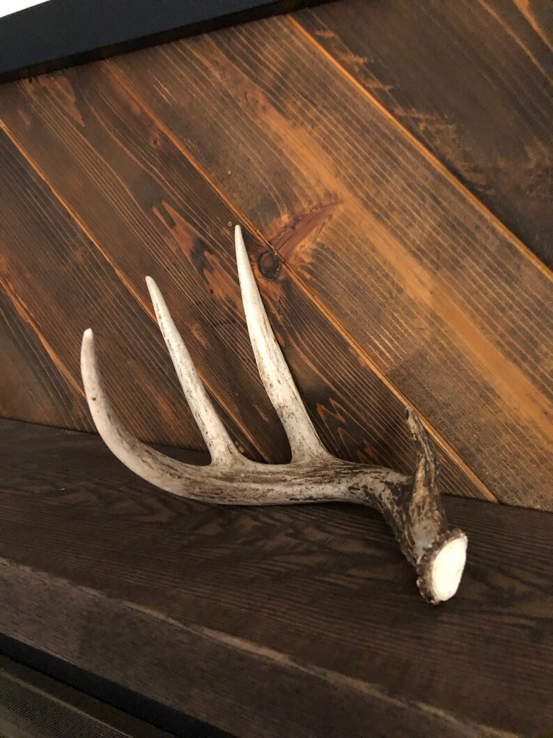 1624 shed roof plan etsy