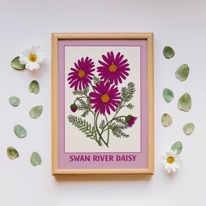 Impressão de arte simples de Swan River Daisy, arte para download, impressão botânica, decoração de casa Cottagecore, impressão de botânica, arte de parede floral