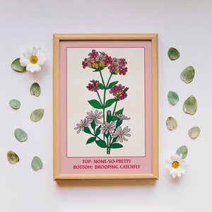 None So Pretty Catchfly Pink Art Print, Downloadable Art, Botanical Print, Cottagecore Home Decor, Botany Print, Floral Wall Art