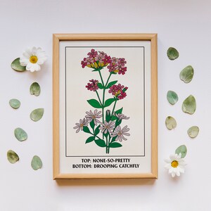 None So Pretty Catchfly Art Print, Downloadable Art, Botanical Print, Cottagecore Home Decor, Botany Print, Floral Wall Art