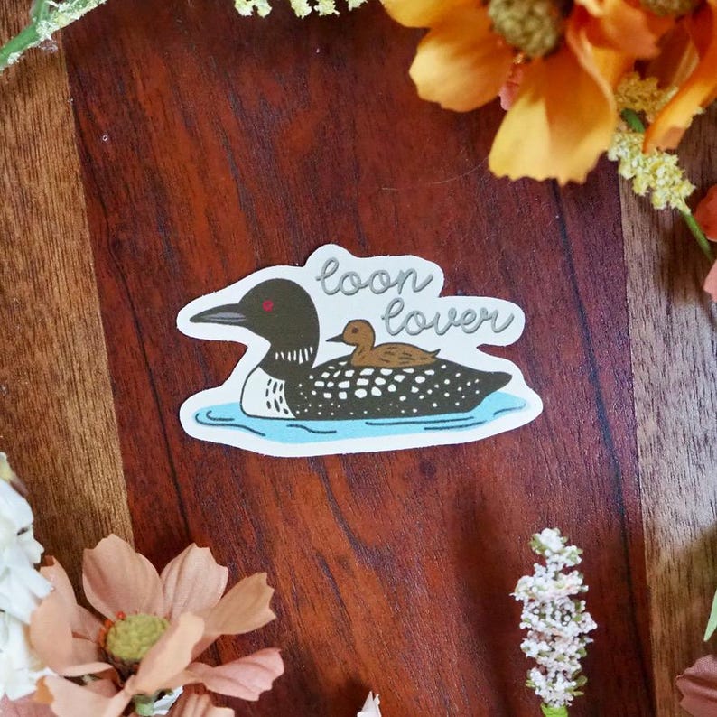 K&ouml;nnte beinhalten: Ein Aufkleber mit einem schwarz-wei&szlig;en Eistaucher mit einem Jungtier auf dem R&uuml;cken, das auf blauem Wasser schwimmt. Der Text "loon lover" ist in Kursivschrift &uuml;ber den Eistauchern geschrieben. Der Aufkleber hat einen wei&szlig;en Rand.
