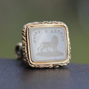 May include: A gold-toned ring with a square, light-colored stone. The stone features an engraved lion and text. The ring has a rope-like border. The background is blurred, suggesting an outdoor setting.