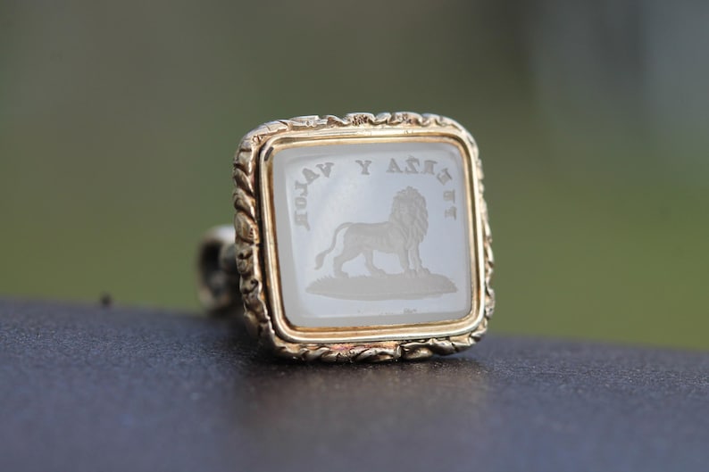 May include: A gold-toned ring with a square, light-colored stone. The stone features an engraved lion and text. The ring has a rope-like border. The background is blurred, suggesting an outdoor setting.