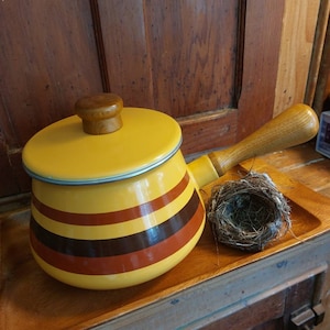 May include: A yellow enamel saucepan with a brown wooden handle and lid. The saucepan has brown and orange stripes. A bird's nest is sitting on a wooden surface next to the saucepan.