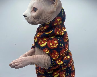 Kleiner Kürbis - Katzenpullover