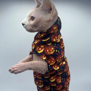 Little Pumpkin - Cat Sweaters