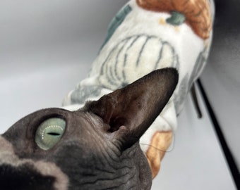 Purrfect Pumpkin - Swetry dla kotów