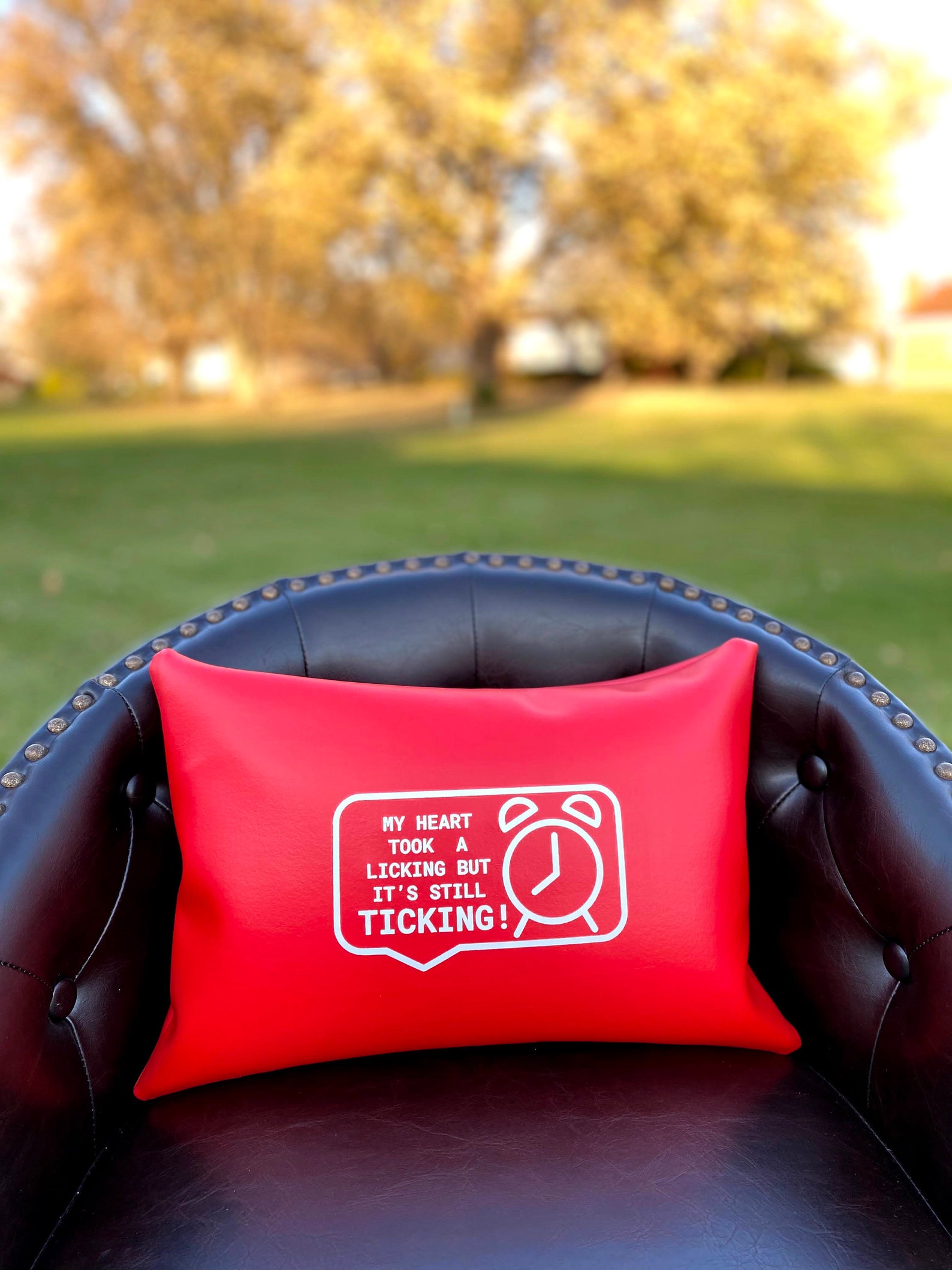 Cough Pillow Heart Surgery Pillow Inspirational Heart Surgery Etsy