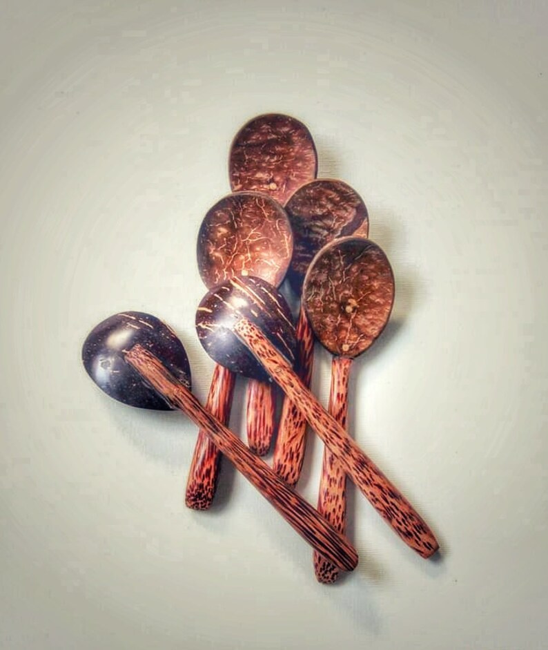 Coconut Shell Spoon Eco Friendly Etsy