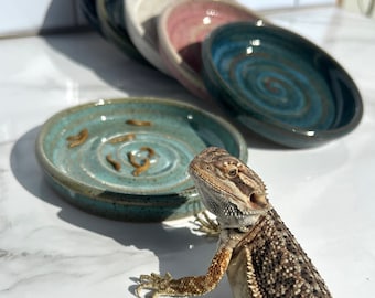Handmade Ceramic Reptile Bowl: Shallow Lizard Dish, Food & Water
