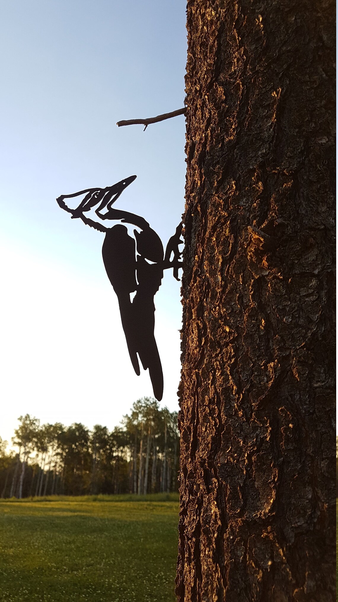 Specht aus Metall auf einem Glied | Etsy