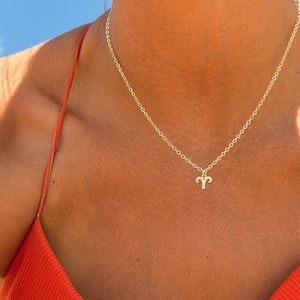 May include: A gold chain necklace with a small, diamond-encrusted ram pendant.