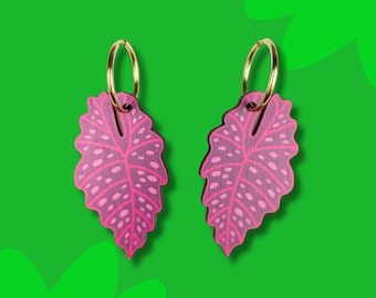 Unusual Tropical Leaf Earrings - Pink Spotted Begonia Houseplant Earrings For Plant Lovers - Wood Alternative to Acrylic Jewellery