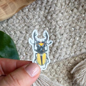 May include: A sticker featuring a detailed illustration of a stag beetle. The beetle has a black body, yellow elytra, and large, curved mandibles. The sticker is held by a hand against a textured, neutral-toned background.