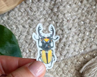May include: A sticker featuring a detailed illustration of a stag beetle. The beetle has a black body, yellow elytra, and large, curved mandibles. The sticker is held by a hand against a textured, neutral-toned background.